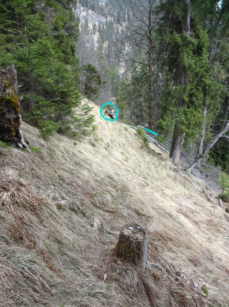 wegloser_aufstieg16.JPG