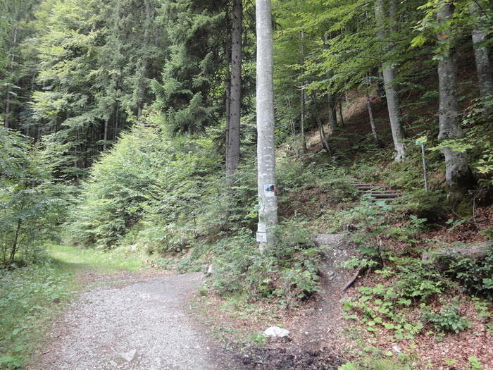 Stangensteig 05528.JPG