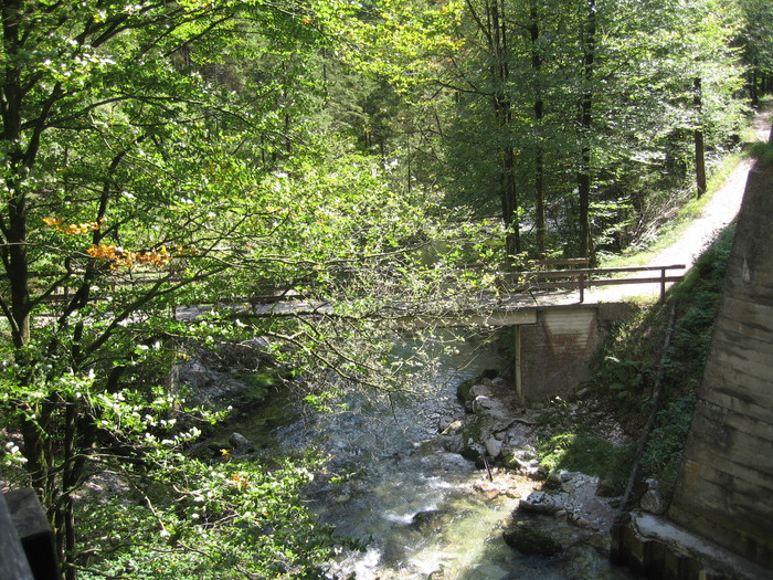 IMG_6786.JPG
