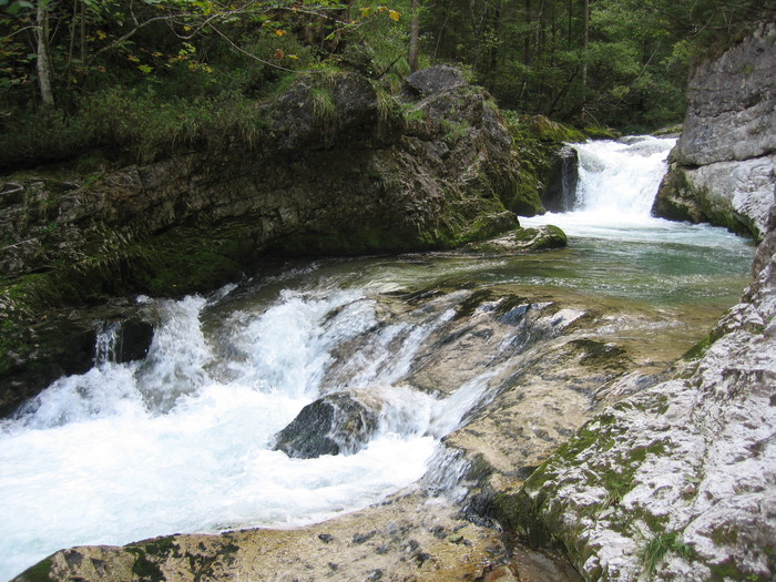 IMG_6798.JPG