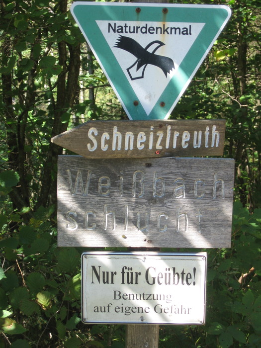 IMG_6820.JPG