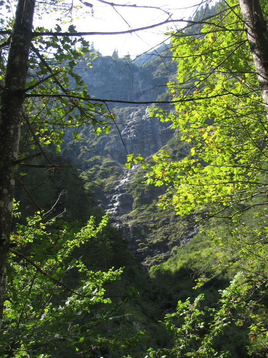 IMG_6822.JPG
