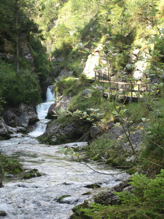 IMG_6828.JPG