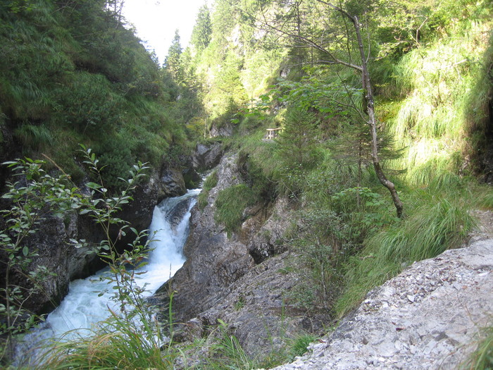 IMG_6844.JPG
