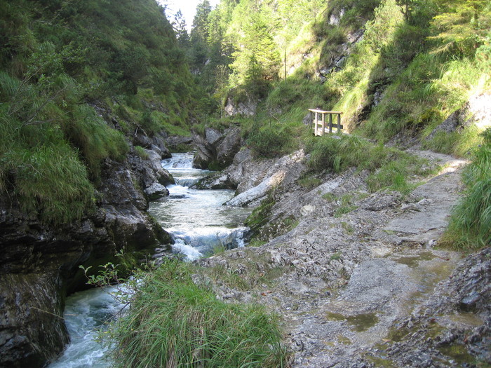 IMG_6853.JPG