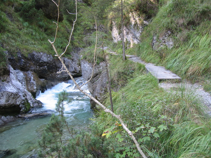 IMG_6857.JPG