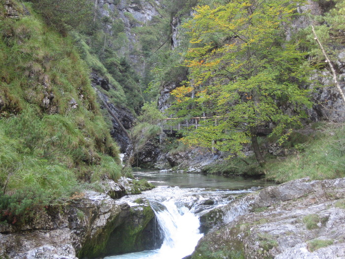 IMG_6864.JPG