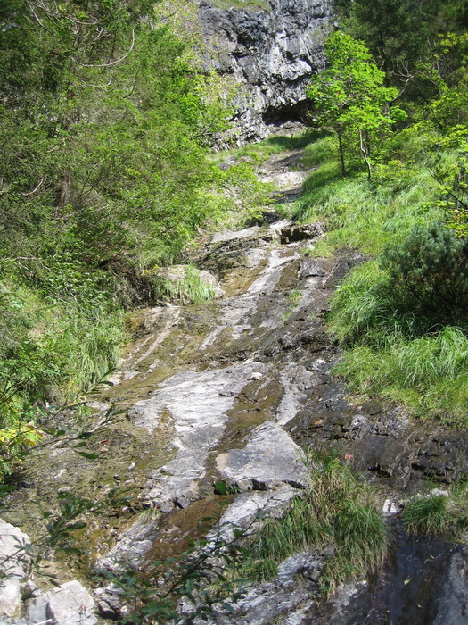 IMG_6868.JPG