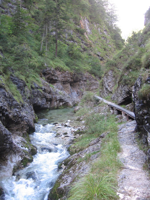 IMG_6907.JPG