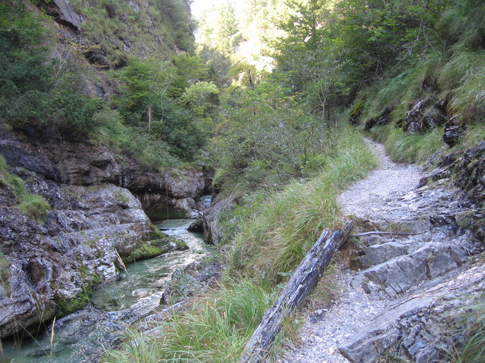 IMG_6913.JPG
