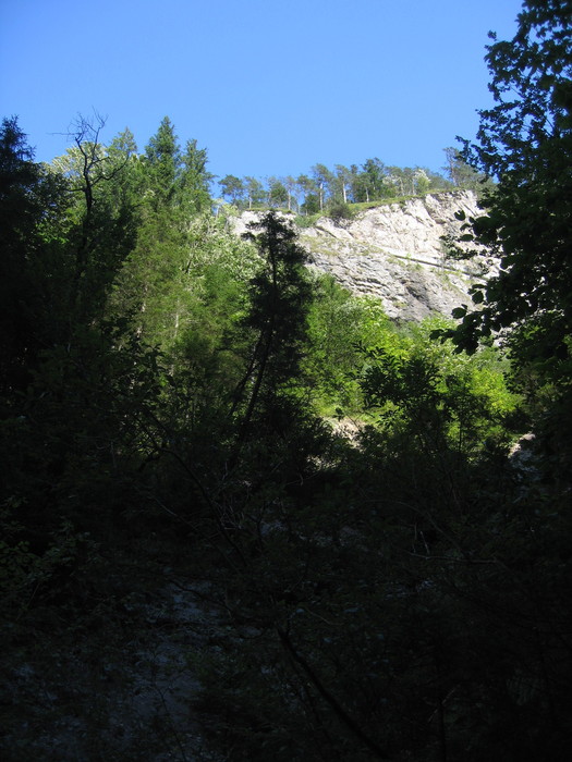 IMG_6921.JPG