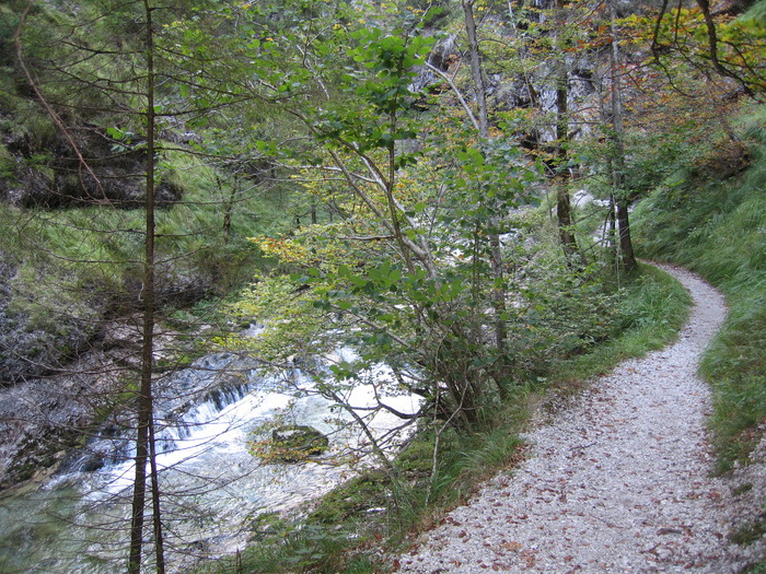 IMG_6930.JPG
