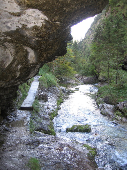IMG_6937.JPG