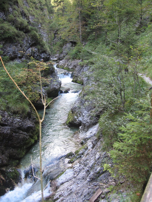 IMG_6953.JPG