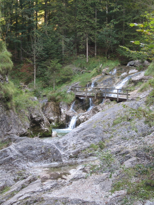 IMG_6964.JPG