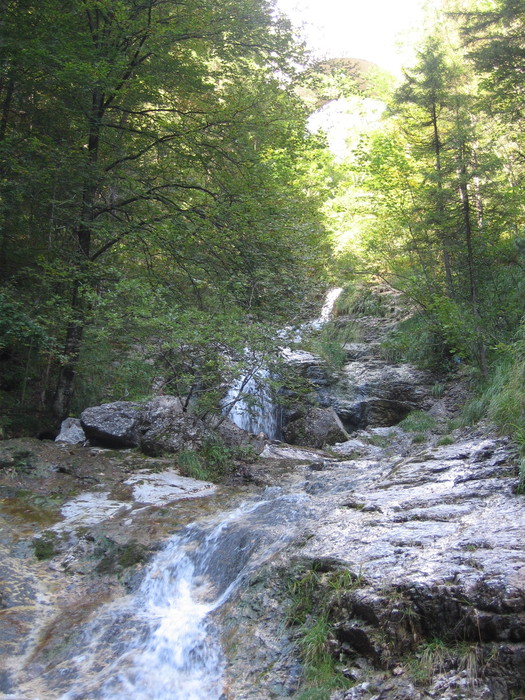 IMG_6973.JPG