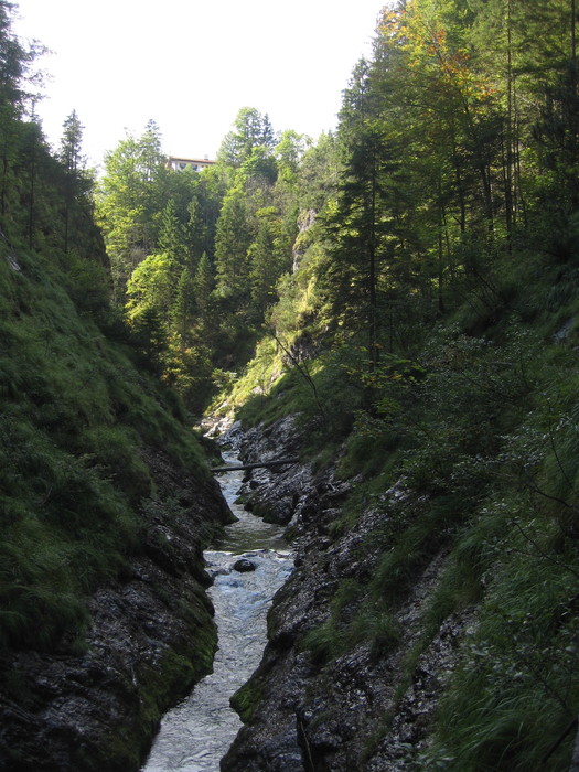IMG_6984.JPG