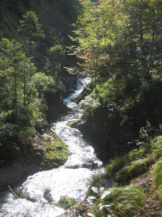 IMG_6989.JPG