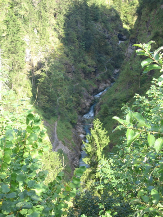 IMG_6999.JPG