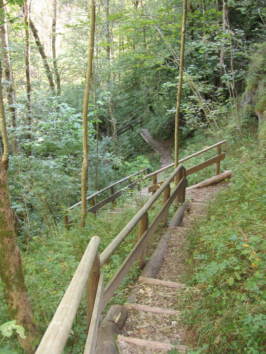IMG_7007.JPG