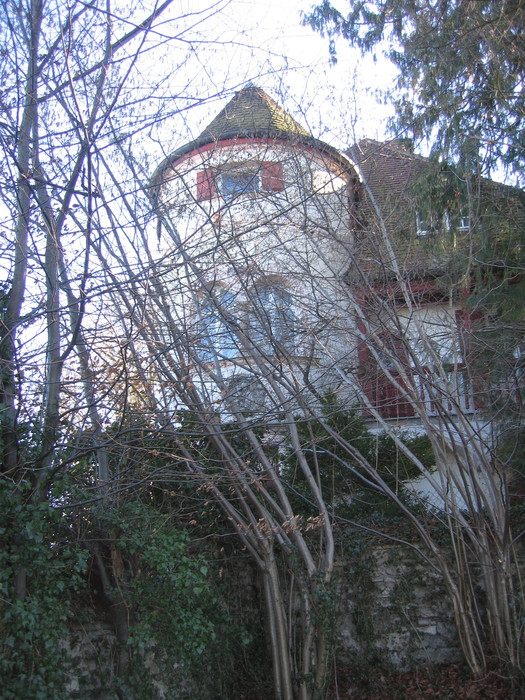 IMG_8773.JPG