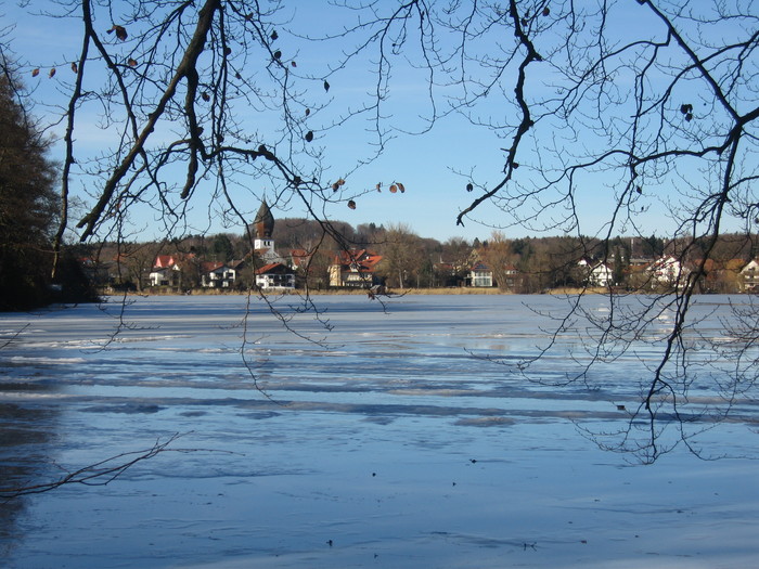 IMG_8796.JPG