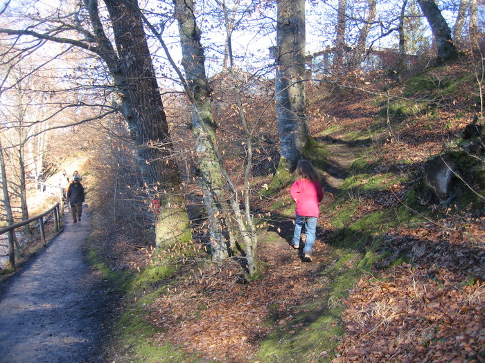 IMG_8806.JPG